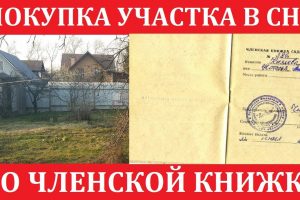 Как надежно оформить куплю-продажу участка в СНТ